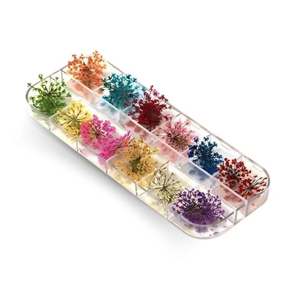 Kit Decoração Flor Seca Fan Nails 12un Girl Fatale